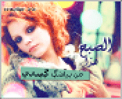 10281alsh3er.gif