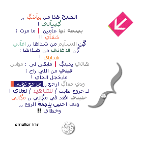 10282alsh3er.gif