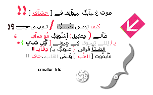 10290alsh3er.gif