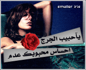 10291alsh3er.gif