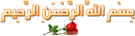 10311alsh3er.gif
