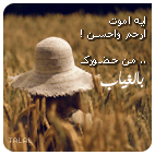 10531alsh3er.gif