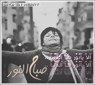 10648alsh3er.png