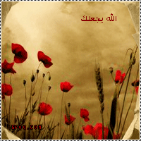 10873alsh3er.gif