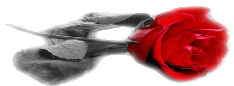 11084alsh3er.gif