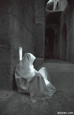 11163alsh3er.gif