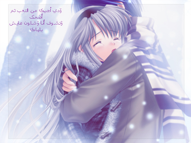 11377alsh3er.gif
