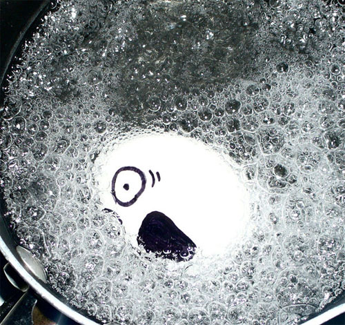 12024alsh3er.jpg