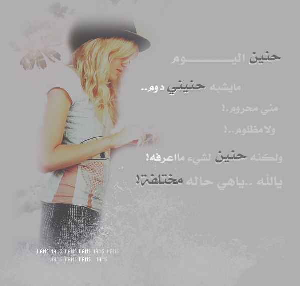 12204alsh3er.jpg