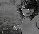 12206alsh3er.jpg