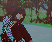 12220alsh3er.jpg