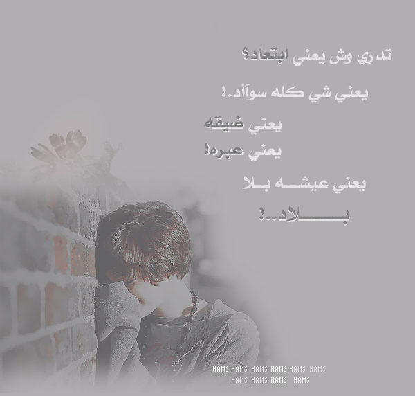 12238alsh3er.jpg