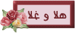 12634alsh3er.gif
