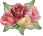 12635alsh3er.gif