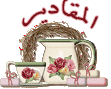 12637alsh3er.gif