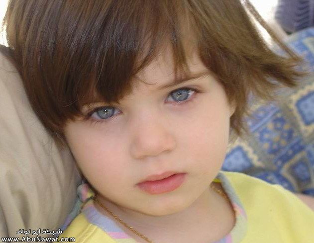 12908alsh3er.jpg