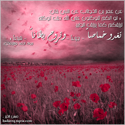 14292alsh3er.gif