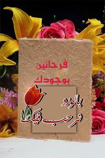 1542alsh3er.gif