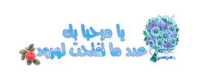 1545alsh3er.jpg