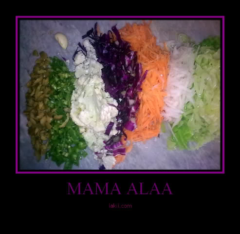 18077alsh3er.jpg