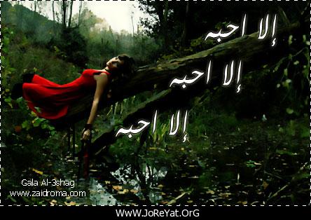 18503alsh3er.gif