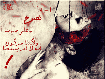 19453alsh3er.gif
