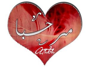 19505alsh3er.jpg