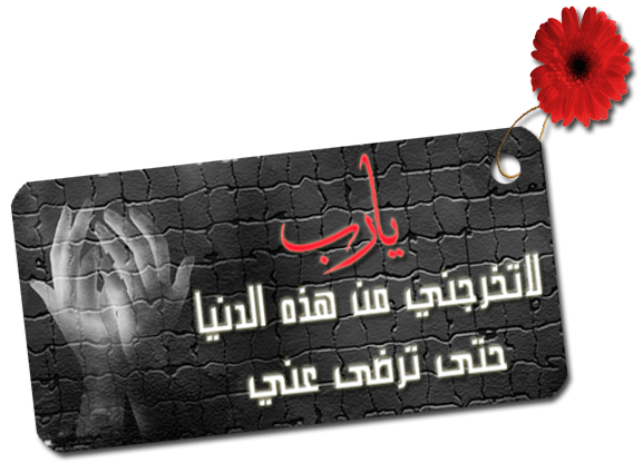 19511alsh3er.gif