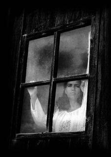 19573alsh3er.jpg