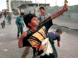 19584alsh3er.jpg