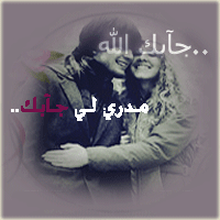 19662alsh3er.jpg