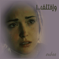 19664alsh3er.jpg