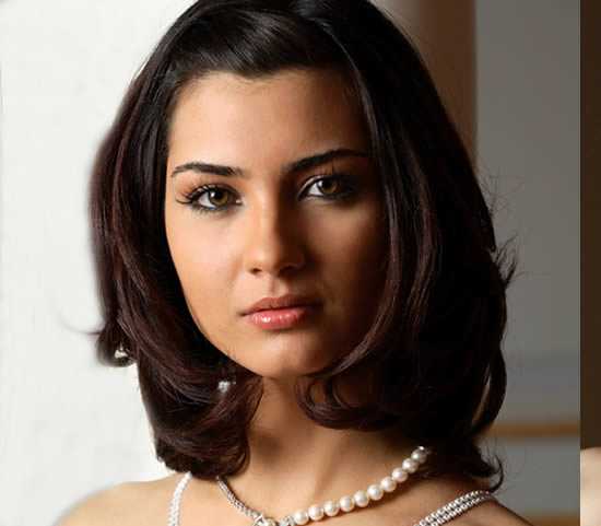 19856alsh3er.jpg