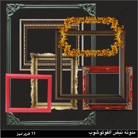 20093alsh3er.gif
