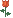 20127alsh3er.gif