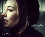 20287alsh3er.gif