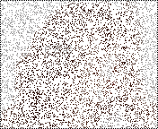 20290alsh3er.gif