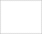 20293alsh3er.gif