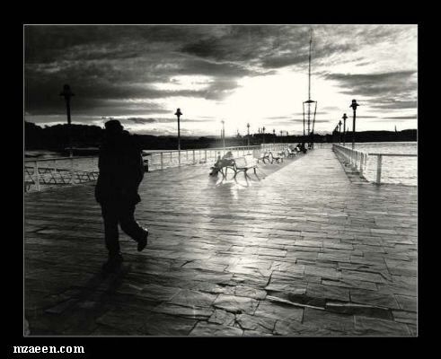 20327alsh3er.bmp