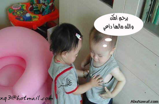 20375alsh3er.jpg
