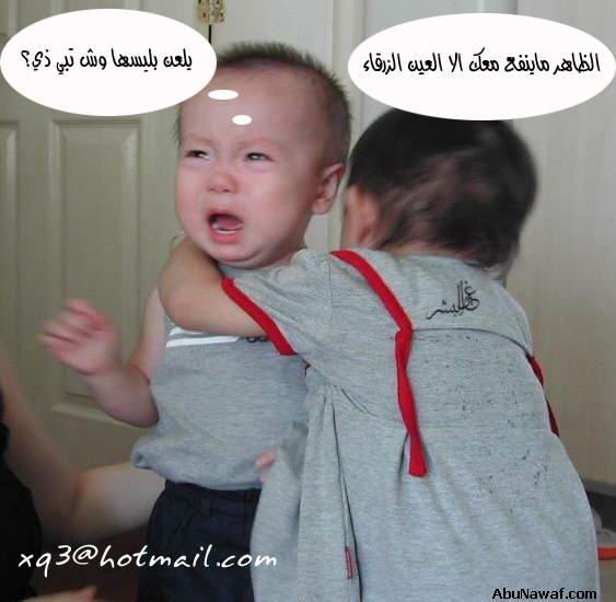 20378alsh3er.jpg