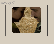 20409alsh3er.gif