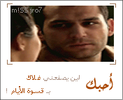 20411alsh3er.gif