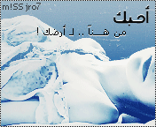 20416alsh3er.gif