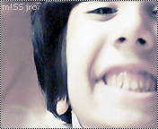 20431alsh3er.gif