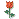 20517alsh3er.gif