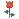 20545alsh3er.gif