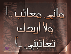 20627alsh3er.gif