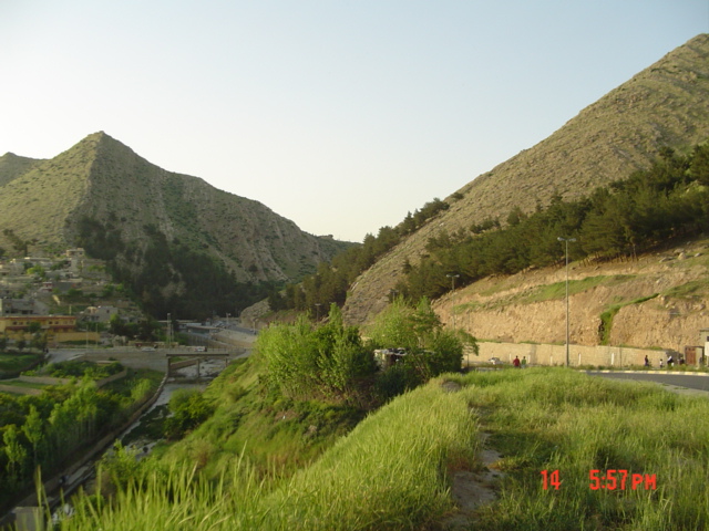 20891alsh3er.jpg