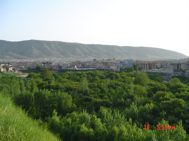 20892alsh3er.jpg